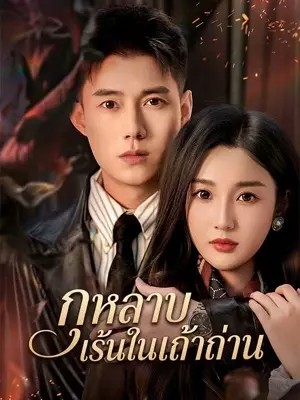 กุหลาบเร้นในเถ้าถ่าน