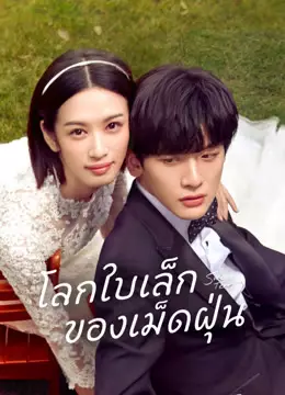 โลกใบเล็กของเม็ดฝุ่น