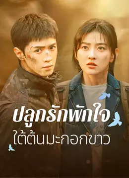 ปลูกรักพักใจ ใต้ต้นมะกอกขาว
